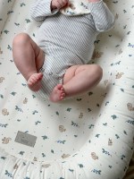 Little Pea_Cam Cam Βρεφική φωλιά,Blueberries 1